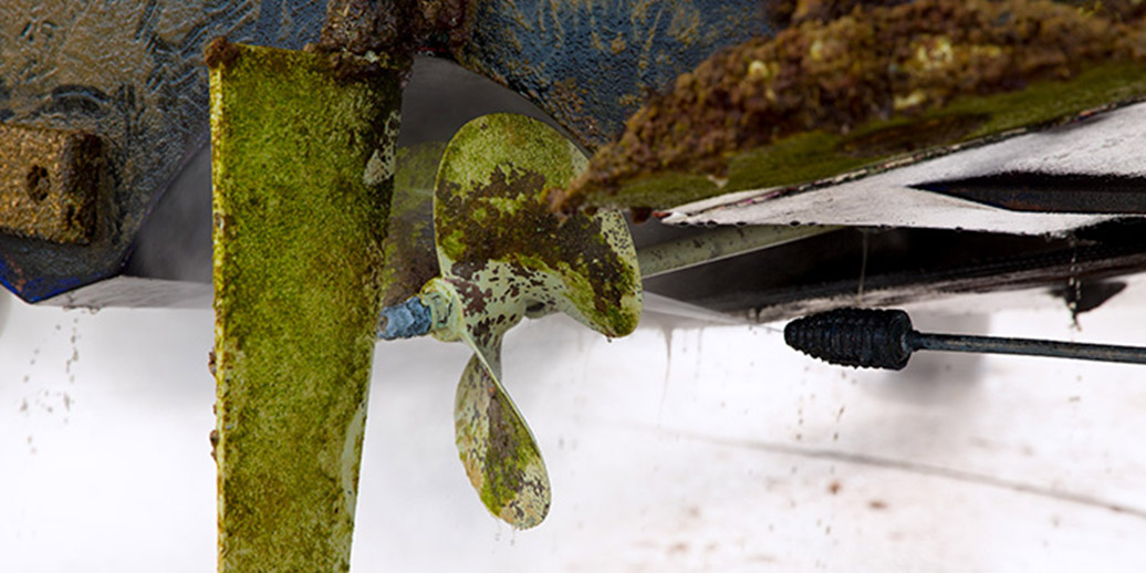What is meant by biofouling?