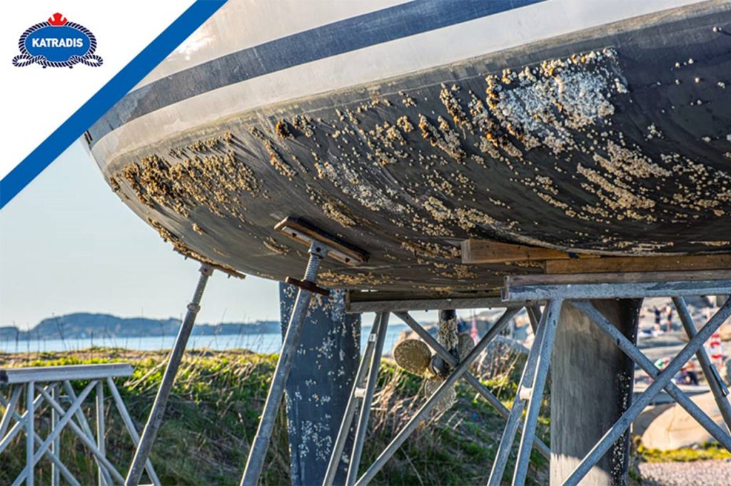 What is biofouling in the marine environment?
