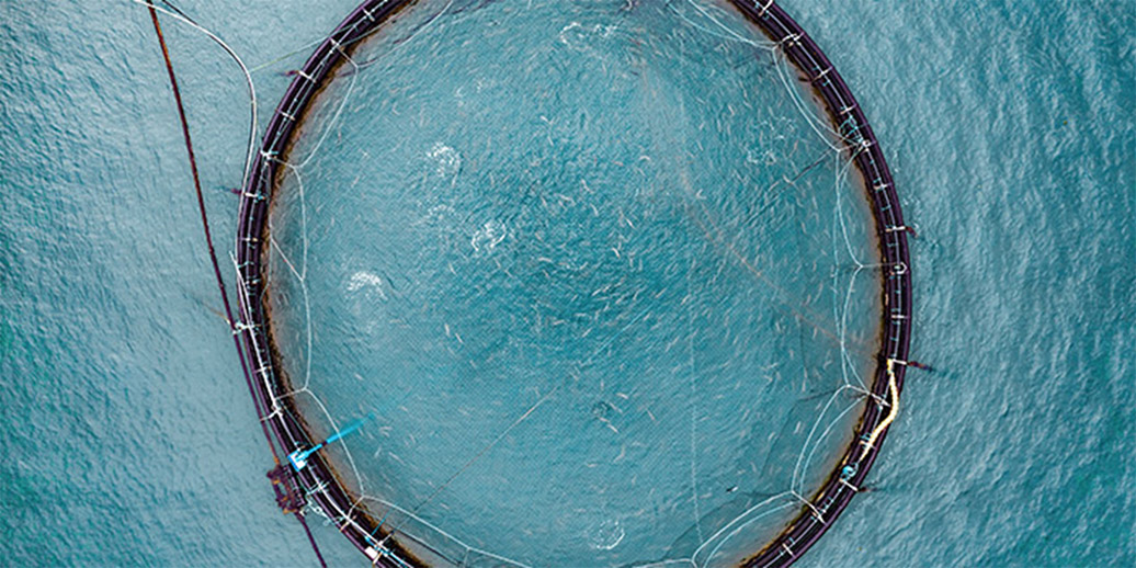 How much should you invest in biofouling prevention?