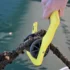 Boatasy Ghook Γάντζος Ρεμέτζου, με Επέκταση Σχοινιού Σχοινιά Cavo Yachting